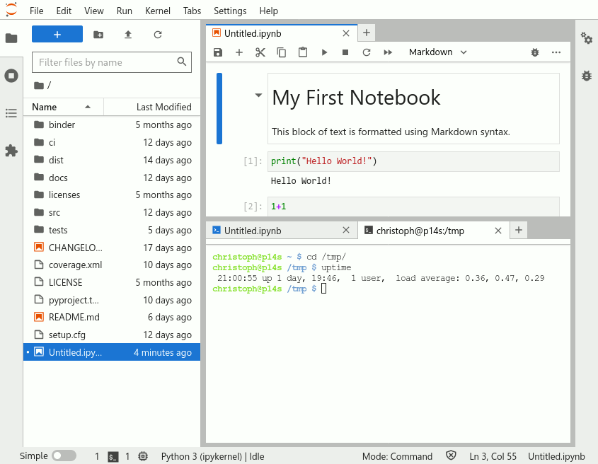 Screenshot of a notebook opened in JupyterLab