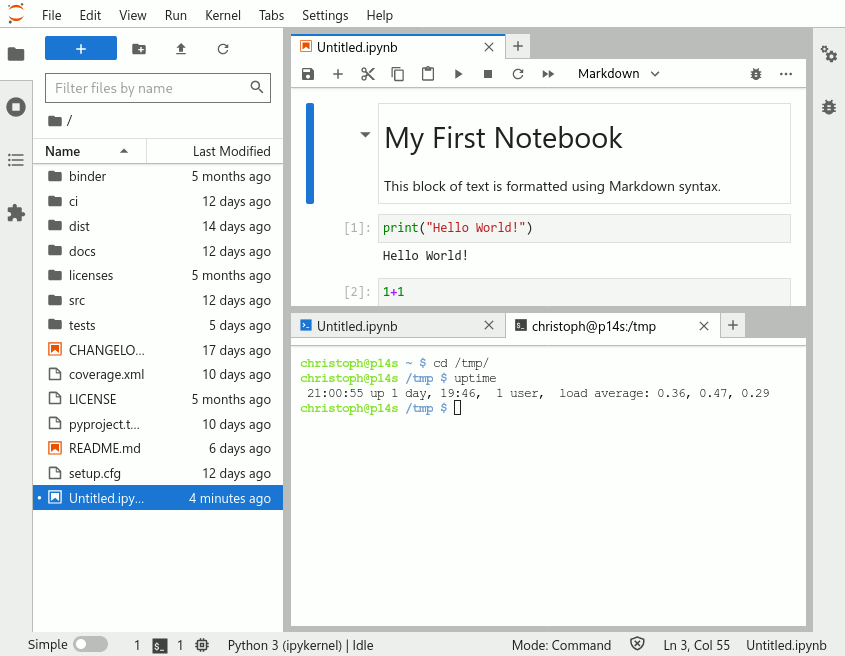 screenshot of a notebook opened in JupyterLab